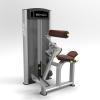 Lumbares Musculación Placas