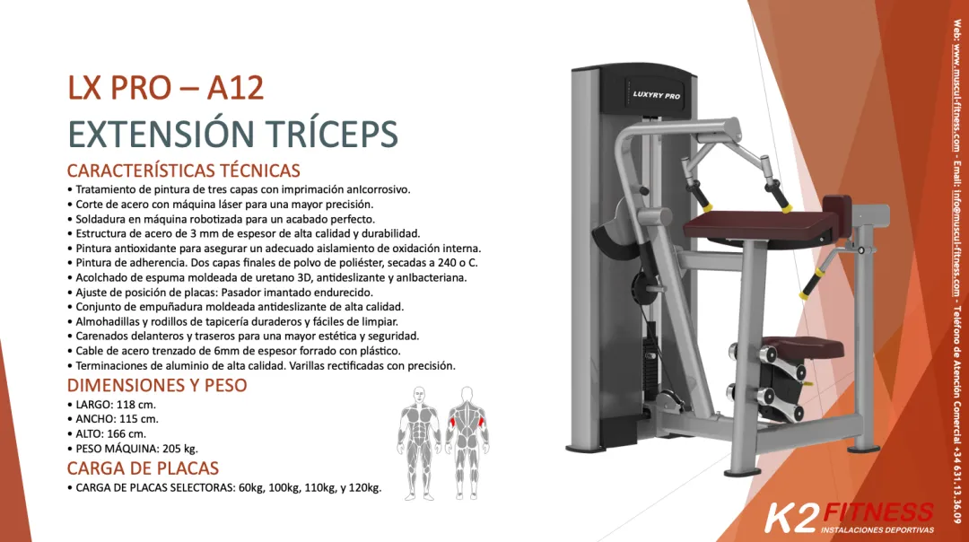 Puedes tener unos Tríceps Fuertes si Entrenas en el Gimnasio con la Máquina para Extensión de Tríceps 