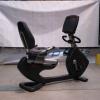Bici Horizontal Life Fitness 95R